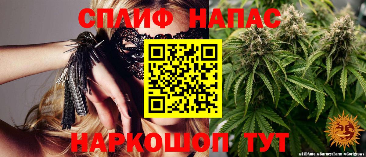 Канабис планчик  Канабис конопля  Вход с VPN  Белгород  Бошки марихуана семена  Бошки марихуана планчик 